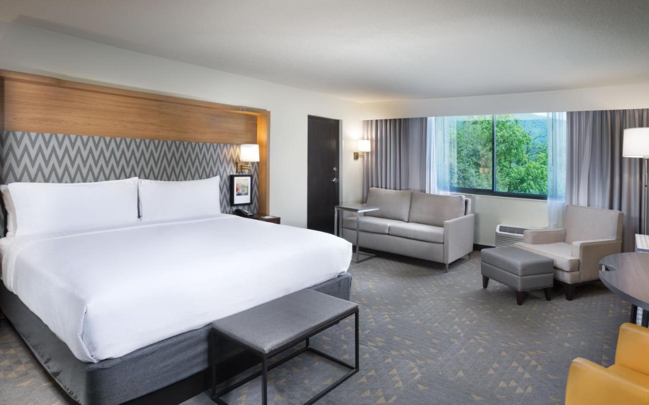 Holiday Inn Asheville East-Blue Ridge Pkwy By Ihg Exterior photo