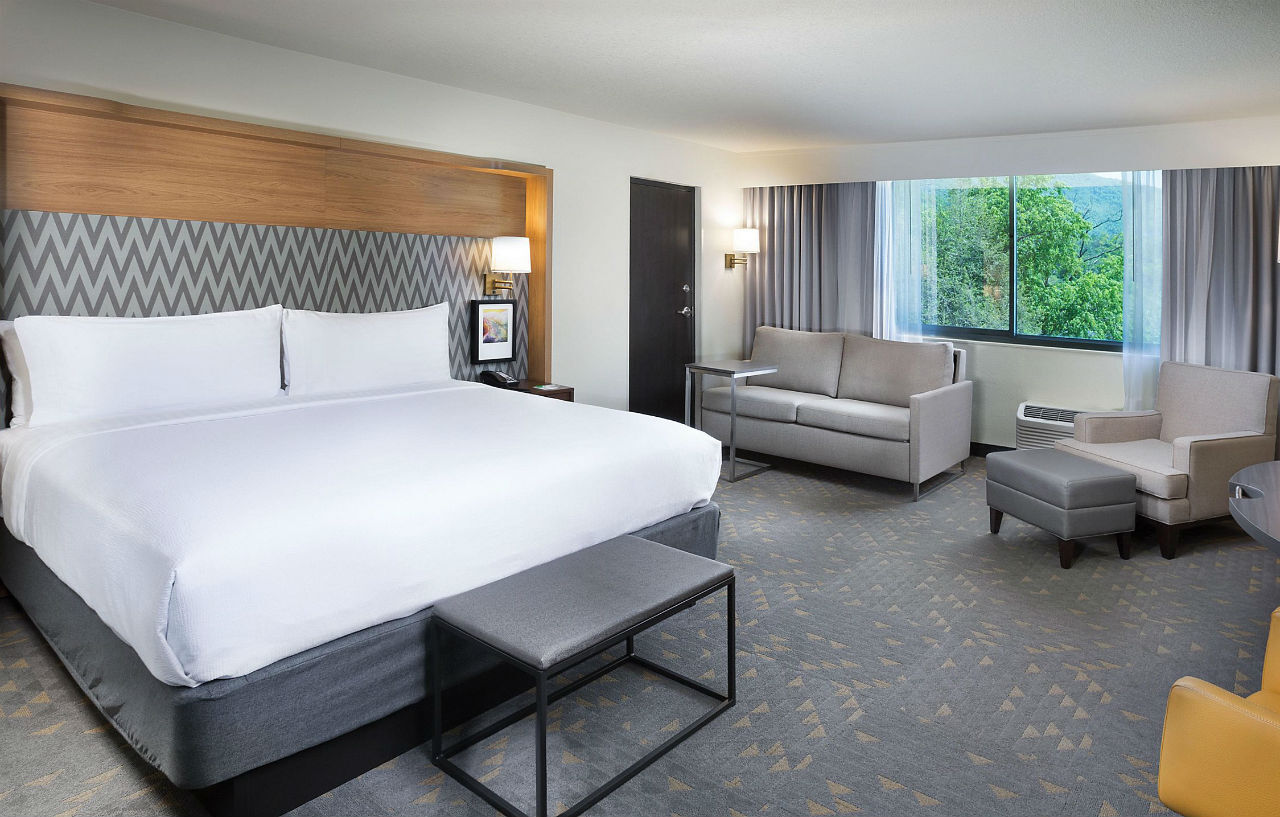 Holiday Inn Asheville East-Blue Ridge Pkwy By Ihg Exterior photo